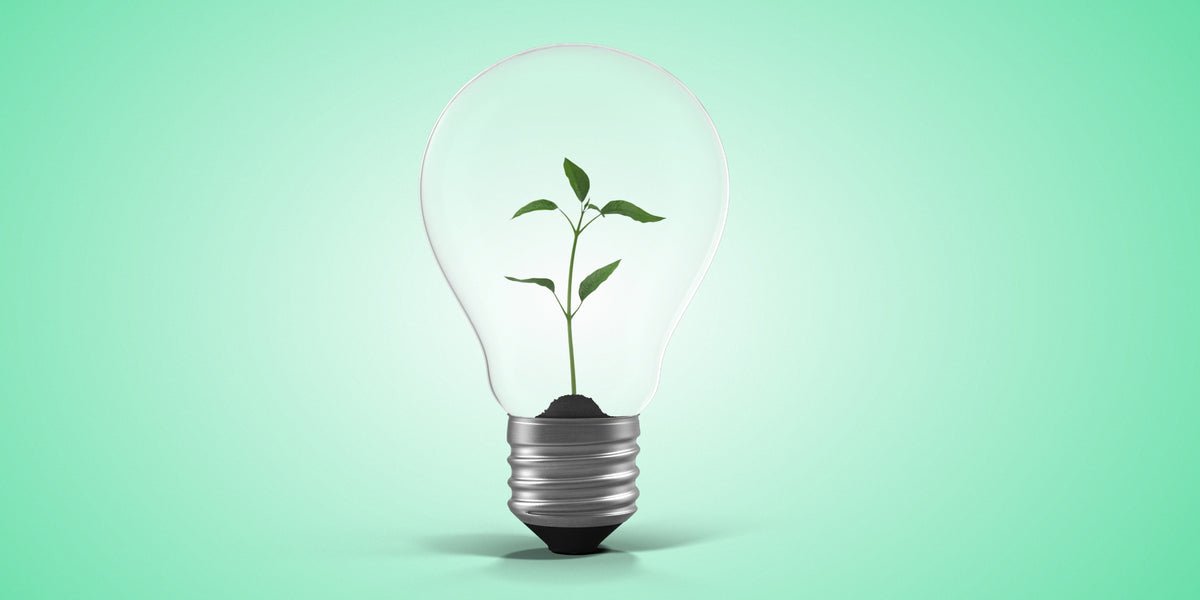 How Redmond Life's Green Team is Creating a More Sustainable Tomorrow
