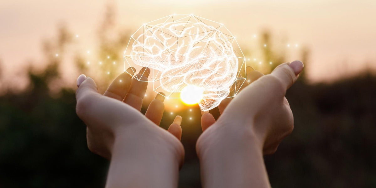 Why You Don't Know as Much as You Think You Do