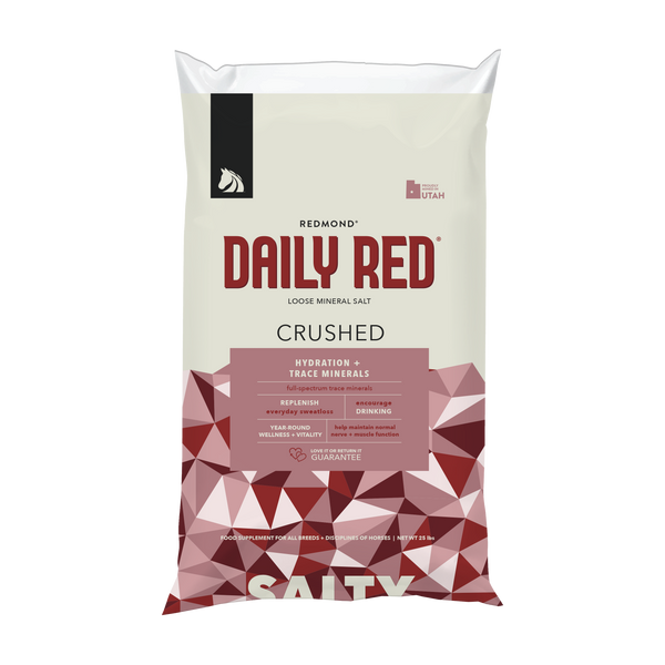 Daily Red Crushed large sack front with red pattern and SALTY printed at bottom