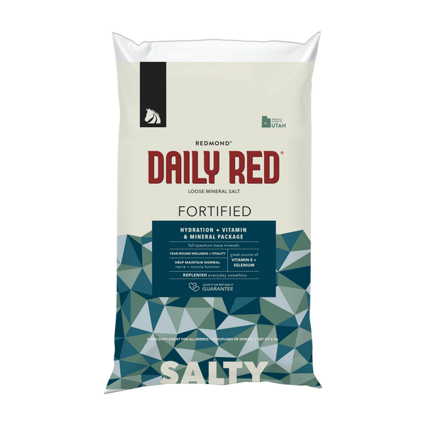 Daily Red Fortified large sack front with blue pattern and SALTY printed at bottom