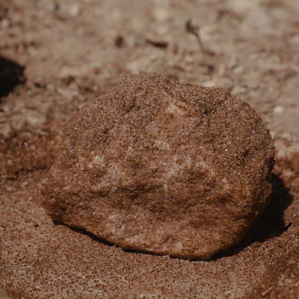 Trophy Rock® Mineral Bundle