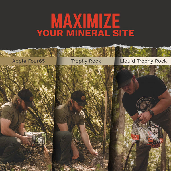 Trophy Rock® Mineral Bundle