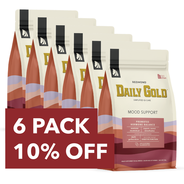 Daily Gold® Mood Support - Horse Gut Supplement