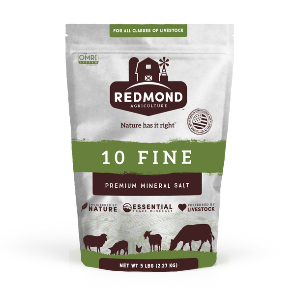 10 Fine - Premium Mineral Salt
