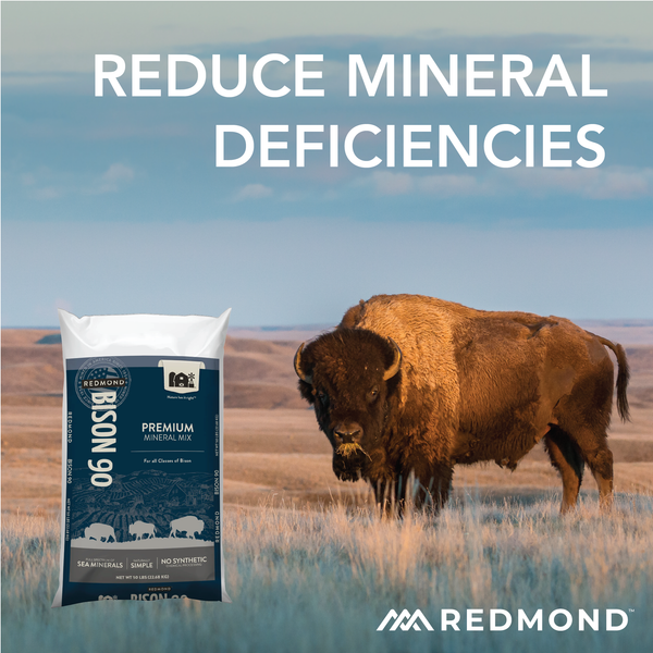 Bison 90