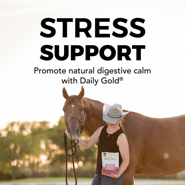 Daily Gold® Mood Support - Horse Gut Supplement