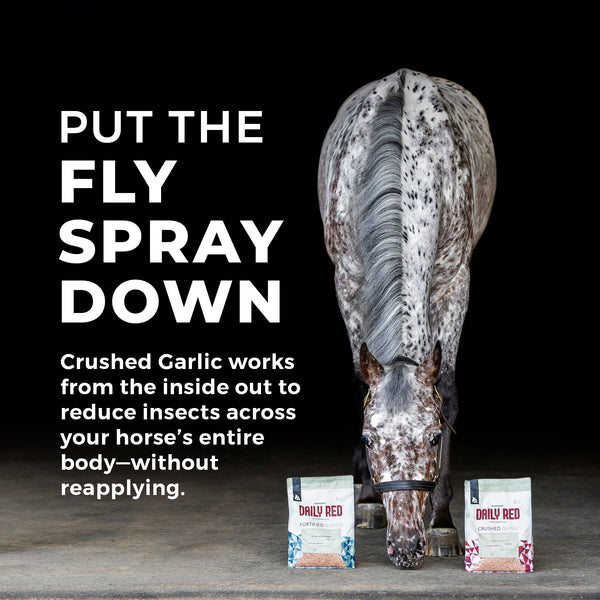 Daily Red® Crushed™ Garlic - Mineral Supplement for Horses