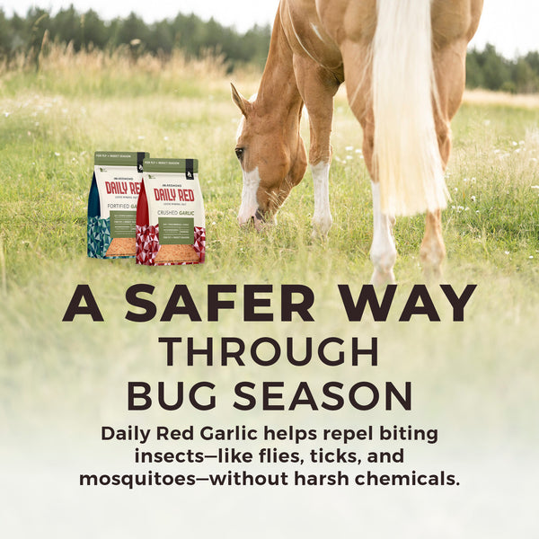 Daily Red® Crushed™ Garlic - Mineral Supplement for Horses