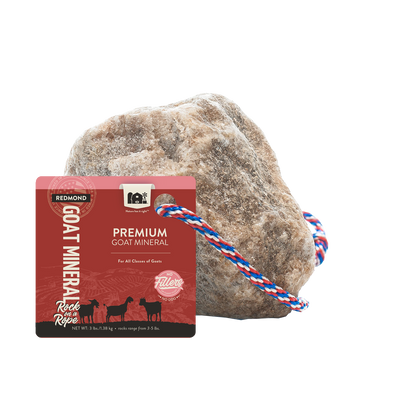 Goat Rock on a Rope