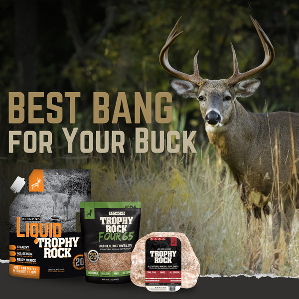 Whitetail buck behind Liquid Trophy Rock, Apple Four65 and Trophy Rock: Best Bang for Your Buck