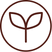 Organic Seasonings