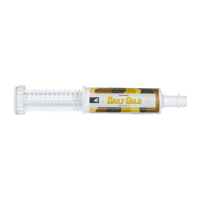 Daily Gold® Paste - Digestive Stress Relief for Horses