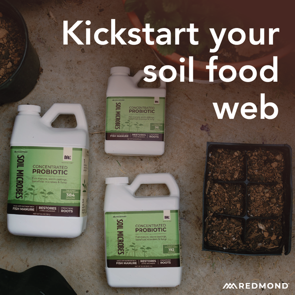 Soil Microbes