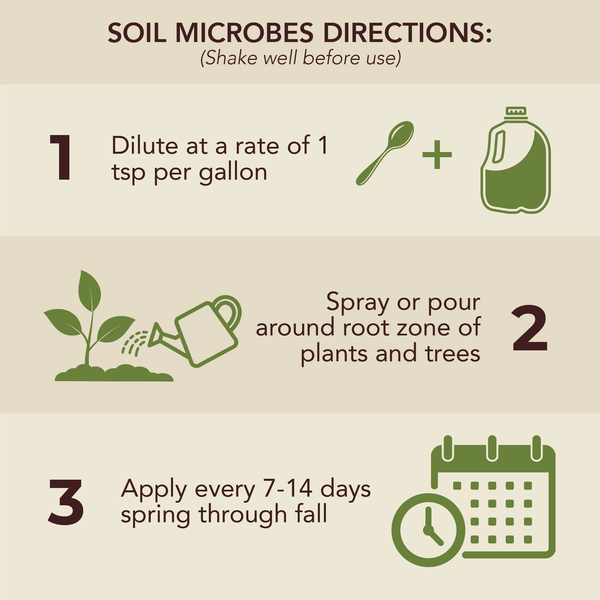 Soil Microbes