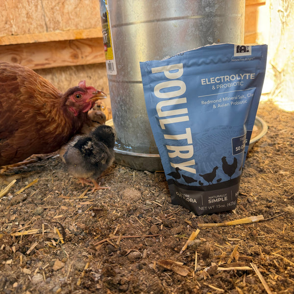 Redmond Poultry Electrolyte & Probiotic